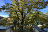 Merseburg: Wohnen in sanierter Altbau-Villa, mit Parkett, Balkon und Garage - Bild7