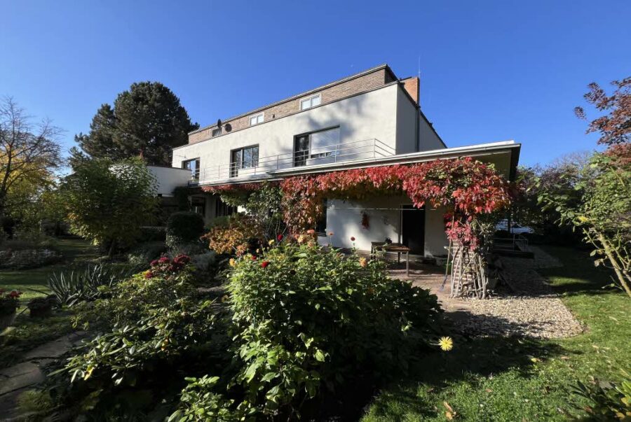 Im Paulusviertel popular 3-Zimmer mit Terrasse und Stellplatz